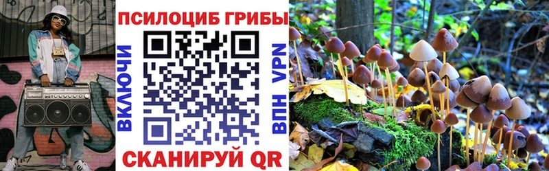 blacksprut ONION  Кедровый  Галлюциногенные грибы прущие грибы 